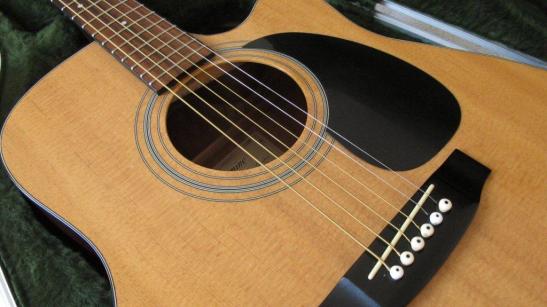 Takamine EG (3)
