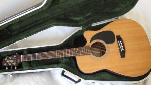 Takamine EG (8)