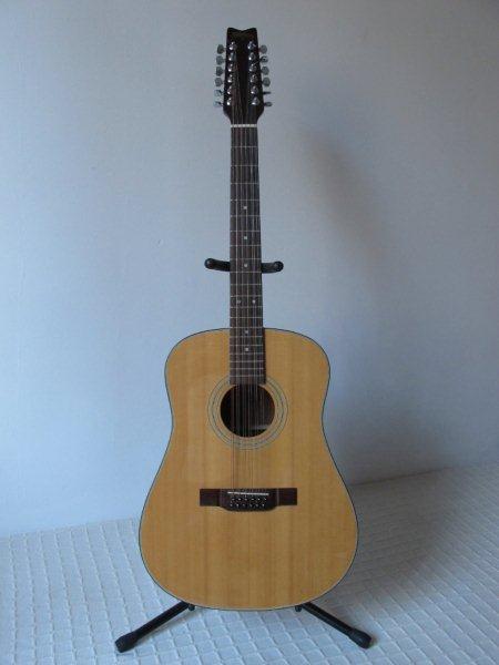 Washburn 12Strings (2)
