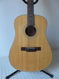 Washburn 12Strings (3)