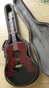 Epiphone SQ180 Don Everly (19)