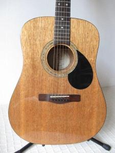 Greg Bennett  D1 (3)