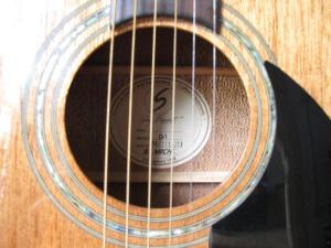 Greg Bennett  D1 (4)